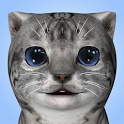 Cat Simulator icon