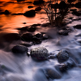 Twilight River by Craig Bill - Nature Up Close Water