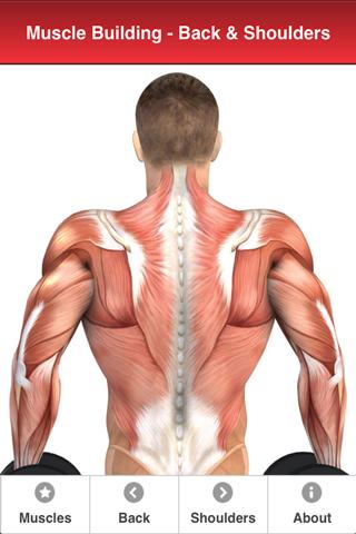 Android application Muscle Building Back+Shoulders screenshort
