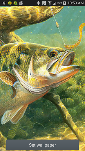 Bass Fishing Ripple Wallpaper