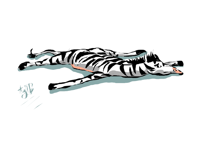 Animals Without Bones