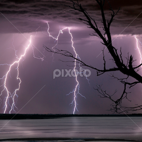 branches everywhere by Craig Eccles - News & Events Weather & Storms