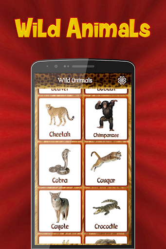 Wild Animals Sounds Ringtones