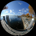 ParaView icon