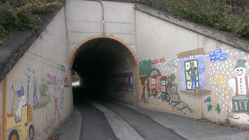 Tunnel in Laßnitzthal