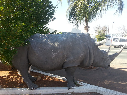 Rhino Memorial