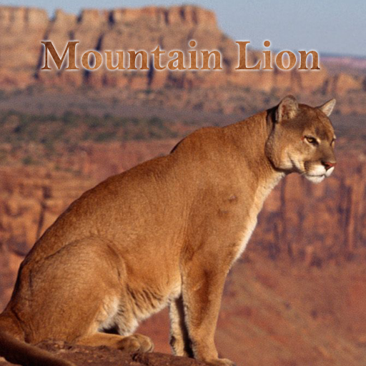 Mountain Lion Sounds