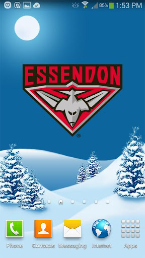 Essendon Snow Globe