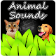 Animal Sounds APK