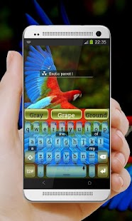 Rio Colors TouchPal Theme Screenshots 3