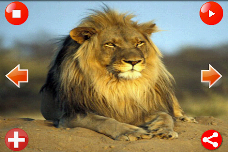 How to download Animal Sounds FREE lastet apk for laptop