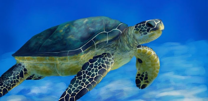 Sea Turtle Live Wallpaper APK v2.0 free download android full pro mediafire qvga tablet armv6 apps themes games application