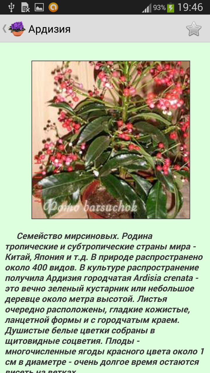 Комнатные растения Screen 3
