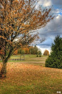 Free Download Autumn Images APK for Android