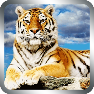 Tiger Live Wallpaper 1.2