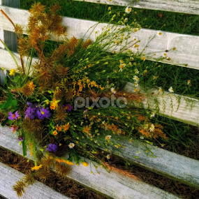 PWC122:Flower Bouquet by Jeannie Love - Instagram & Mobile Other