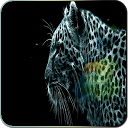 Leopard Live Wallpapers mobile app icon