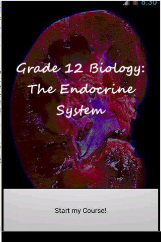 Grade 12 Biology: Endocrine