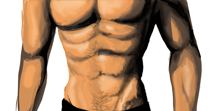 abs for nikko