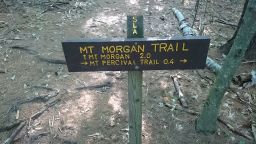 Mt Morgan Trail