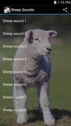免費下載音樂APP|Sheep Sounds app開箱文|APP開箱王