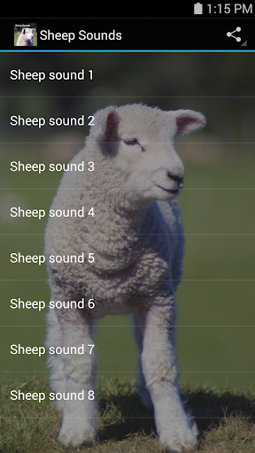 【免費音樂App】Sheep Sounds-APP點子