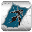 NINJA SKY logo
