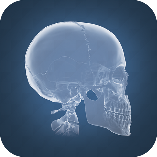 Anatomy 4D LOGO-APP點子