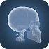 Anatomy 4D2.0.1.110