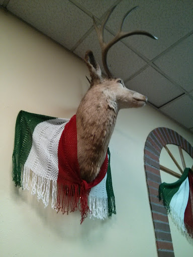 Mexican Deer