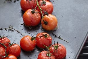 Grilled Fennel and Tomatoes on the Vine