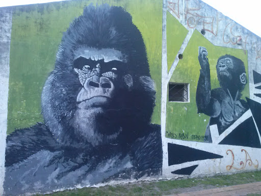 Mural Gorilla