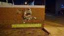 Frog On The Wall