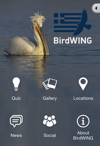 免費下載娛樂APP|BirdWING app開箱文|APP開箱王