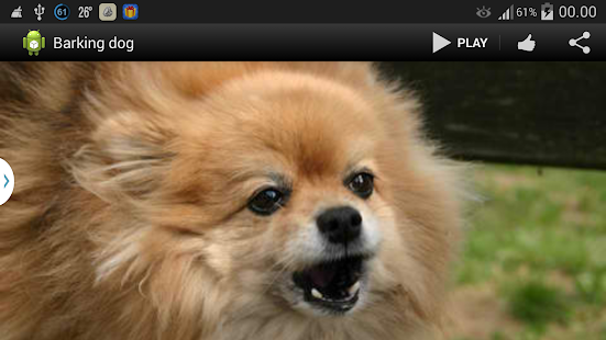 Barking Dog Sounds - screenshot thumbnail