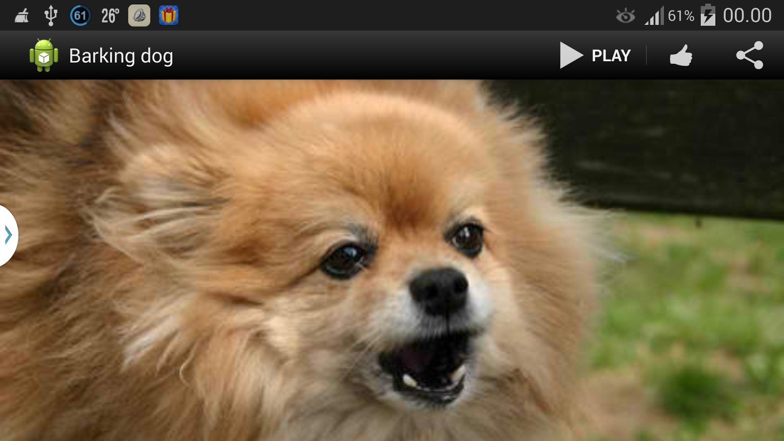 Menggonggong Suara Anjing Apl Android Di Google Play