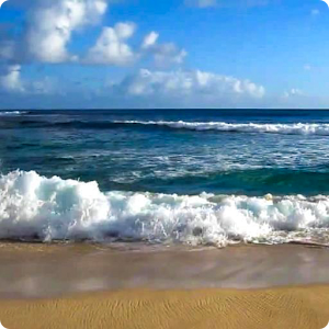 Ocean Waves Live Wallpaper 24 logo