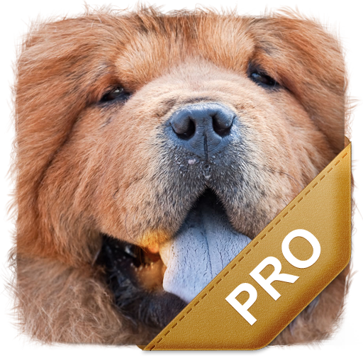 Best Dog Names Pro 生活 App LOGO-APP開箱王