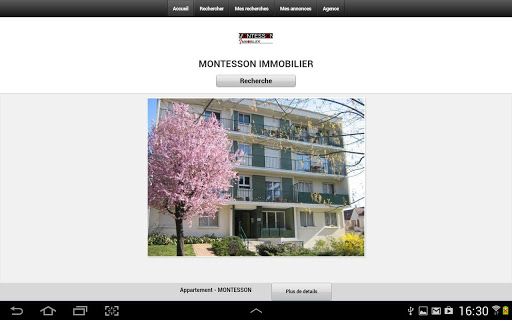 Montesson Immobilier