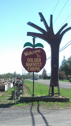 Welcome To Golden Harvest Farms