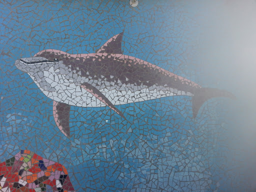 Mural Delfín