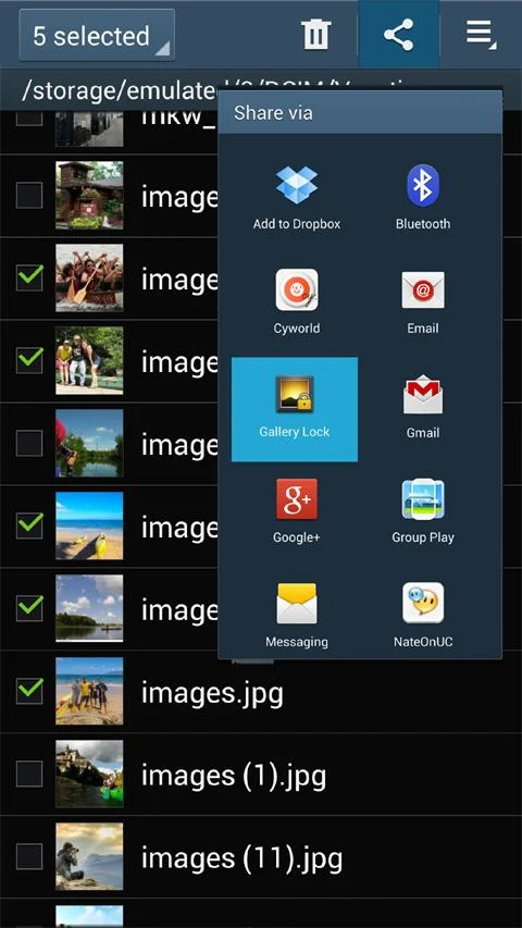 Gallery Lock Pro(Hide picture) - screenshot