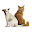 NACAF (vet) Download on Windows