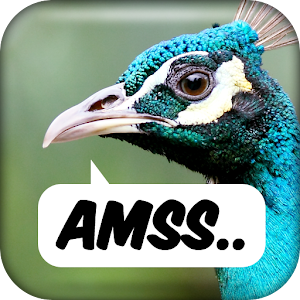 Awkward Moments Sound System.apk 4.0