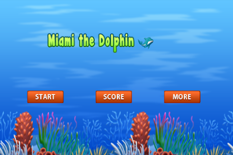 Miami the Clumsy Dolphin