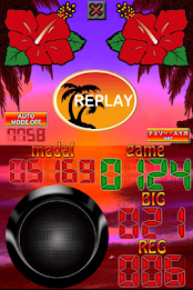 スロット 沖スロ 裏モノ ハイビスカス パチスロシミュレータ poster 3