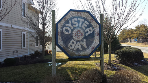 Oyster Bay Sea Shell Artwork