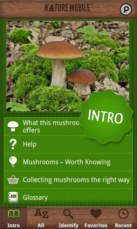 Mushrooms PRO - 