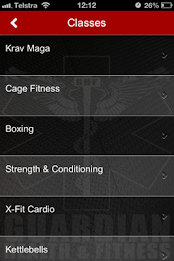 Guardian Defence poster 4