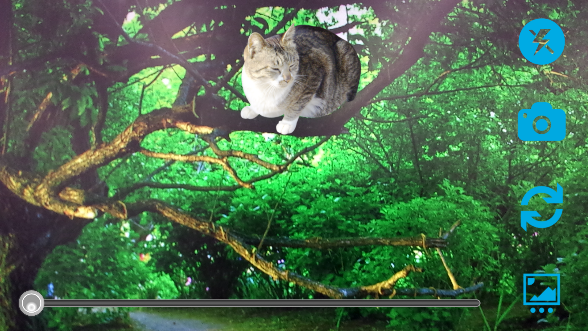 Android application Photo synthetic camera screenshort
